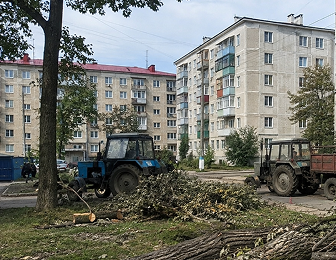 Обслуживание территории